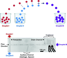 Graphical abstract: Synchronized reinjection and coalescence of droplets in microfluidics
