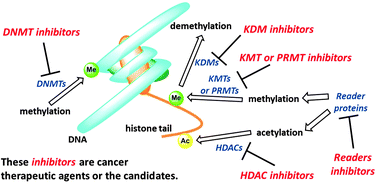 Graphical abstract: Small-molecular modulators of cancer-associated epigenetic mechanisms