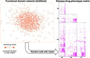Graphical abstract: A disease-drug-phenotype matrix inferred by walking on a functional domain network