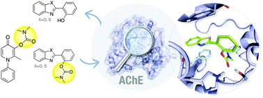 Graphical abstract: Exploring the multifunctionality of thioflavin- and deferiprone-based molecules as acetylcholinesterase inhibitors for potential application in Alzheimer's disease