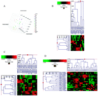 Graphical abstract: Salivary proteins associated with hyperglycemia in diabetes: a proteomic analysis