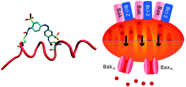 Graphical abstract: BH3 helix-derived biophotonic nanoswitches regulate cytochrome c release in permeabilised cells