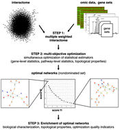 Graphical abstract: Network-based analysis of omics with multi-objective optimization