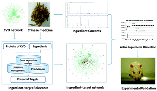 Graphical abstract: Dissecting active ingredients of Chinese medicine by content-weighted ingredient–target network
