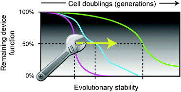 Graphical abstract: Engineering reduced evolutionary potential for synthetic biology