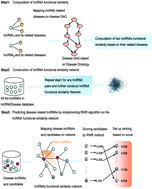 Graphical abstract: Inferring novel lncRNA–disease associations based on a random walk model of a lncRNA functional similarity network