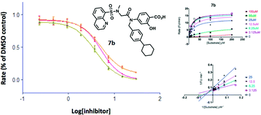 Graphical abstract: Identification of a potent salicylic acid-based inhibitor of tyrosine phosphatase PTP1B