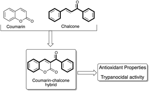 Graphical abstract: Synthesis of coumarin–chalcone hybrids and evaluation of their antioxidant and trypanocidal properties