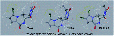 Graphical abstract: An integrated approach to the discovery of potent agelastatin A analogues for brain tumors: chemical synthesis and biological, physicochemical and CNS pharmacokinetic analyses