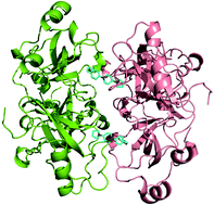 Graphical abstract: The structure–activity relationships of L3MBTL3 inhibitors: flexibility of the dimer interface