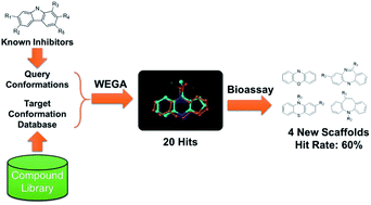 Graphical abstract: Scaffold hopping of potential anti-tumor agents by WEGA: a shape-based approach
