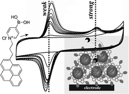 Graphical abstract: Pyrene-anchored boronic acid receptors on carbon nanoparticle supports: fluxionality and pore effects