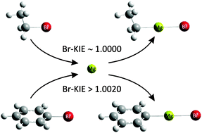 Graphical abstract: Bromine kinetic isotope effects: insight into Grignard reagent formation