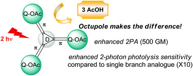 Graphical abstract: Octupolar chimeric compounds built from quinoline caged acetate moieties: a novel approach for 2-photon uncaging of biomolecules