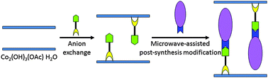 Graphical abstract: Microwave-assisted post-synthesis modification of layered simple hydroxides