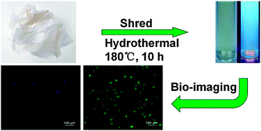 Graphical abstract: Simple one-step synthesis of water-soluble fluorescent carbon dots from waste paper