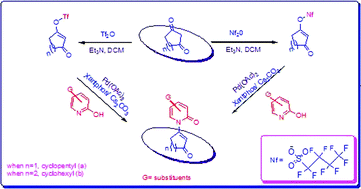 Graphical abstract: Cycloalkenyl nonaflates as electrophilic cross-coupling substrates for palladium catalyzed C–N bond forming reactions with enolizable heterocycles under microwave enhanced conditions