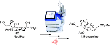 Graphical abstract: A facile microwave-assisted protocol for rapid synthesis of N-acetylneuraminic acid congeners