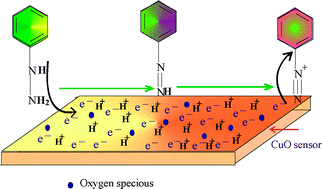 Graphical abstract: Highly sensitive and stable phenyl hydrazine chemical sensors based on CuO flower shapes and hollow spheres