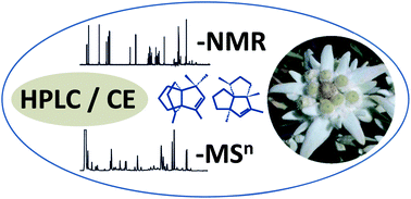 Graphical abstract: Mass spectrometry and NMR spectroscopy: modern high-end detectors for high resolution separation techniques – state of the art in natural product HPLC-MS, HPLC-NMR, and CE-MS hyphenations