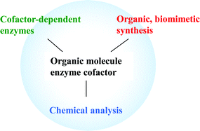 Graphical abstract: Functional diversity of organic molecule enzyme cofactors