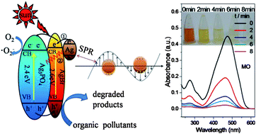 Graphical abstract: Heterostructured Ag3PO4/AgBr/Ag plasmonic photocatalyst with enhanced photocatalytic activity and stability under visible light