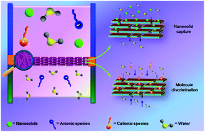 Graphical abstract: Self-assembled, robust titanate nanoribbon membranes for highly efficient nanosolid capture and molecule discrimination