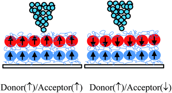Graphical abstract: Molecular rectifiers based on donor/acceptor assemblies: effect of orientation of the components' magnetic moments