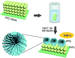 Graphical abstract: A double layered TiO2 photoanode consisting of hierarchical flowers and nanoparticles for high-efficiency dye-sensitized solar cells
