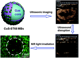 Graphical abstract: Targeted delivery of CuS nanoparticles through ultrasound image-guided microbubble destruction for efficient photothermal therapy