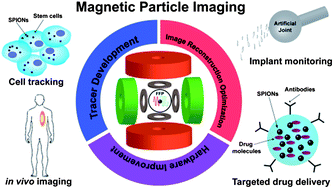 Graphical abstract: Magnetic particle imaging: advancements and perspectives for real-time in vivo monitoring and image-guided therapy