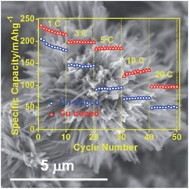 Graphical abstract: Cu doped V2O5 flowers as cathode material for high-performance lithium ion batteries