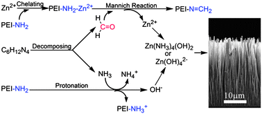 Graphical abstract: Continuous growth and improved PL property of ZnO nanoarrays with assistance of polyethylenimine