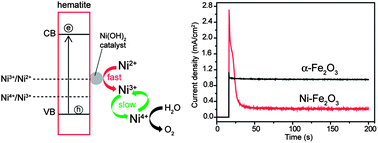 Graphical abstract: A mechanistic study into the catalytic effect of Ni(OH)2 on hematite for photoelectrochemical water oxidation