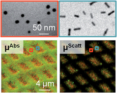 Graphical abstract: Quantitative readout of optically encoded gold nanorods using an ordinary dark-field microscope