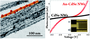 Graphical abstract: Broad spectral photocurrent enhancement in Au-decorated CdSe nanowires