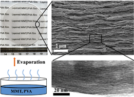 Graphical abstract: Understanding the relationship of performance with nanofiller content in the biomimetic layered nanocomposites