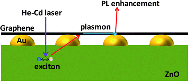 Graphical abstract: Graphene plasmon enhanced photoluminescence in ZnO microwires