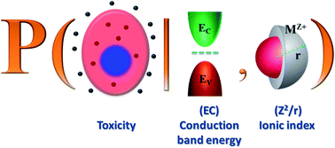 Graphical abstract: Development of structure–activity relationship for metal oxide nanoparticles