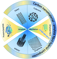 Graphical abstract: The interplay between carbon nanomaterials and amyloid fibrils in bio-nanotechnology