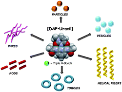 Graphical abstract: Nano- and microstructuration of supramolecular materials driven by H-bonded uracil·2,6-diamidopyridine complexes
