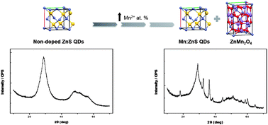 Graphical abstract: Influence of Mn2+ concentration on Mn2+-doped ZnS quantum dot synthesis: evaluation of the structural and photoluminescent properties