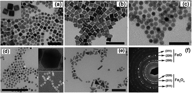 Graphical abstract: Mechanism and controlled growth of shape and size variant core/shell FeO/Fe3O4 nanoparticles