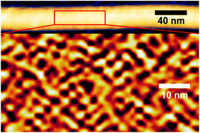 Graphical abstract: Nanoscale structural features determined by AFM for single virus particles