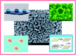 Graphical abstract: Graphene oxide assisted synthesis of GaN nanostructures for reducing cell adhesion