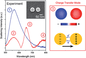 Graphical abstract: Substrate-mediated charge transfer plasmons in simple and complex nanoparticle clusters