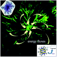 Graphical abstract: Resonance energy transfer in self-organized organic/inorganic dendrite structures