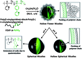 Graphical abstract: Hollow flower micelles from a diblock copolymer