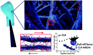 Graphical abstract: Direct measurements of non-ionic attraction and nanoscaled lubrication in biomimetic composites from nanofibrillated cellulose and modified carboxymethylated cellulose