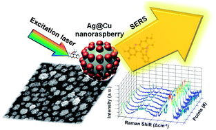 Graphical abstract: Well-organized raspberry-like Ag@Cu bimetal nanoparticles for highly reliable and reproducible surface-enhanced Raman scattering